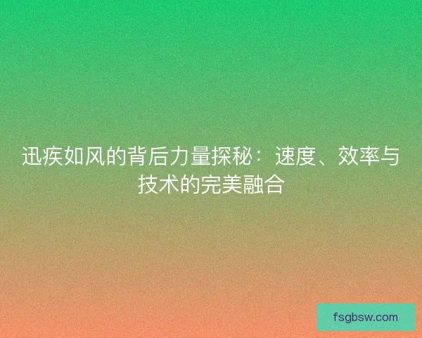 迅疾如风的背后力量探秘：速度、效率与技术的完美融合